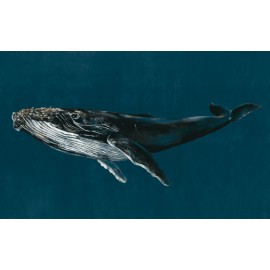 Hunchback whale