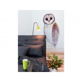 Santamans Owl / Vinyl
