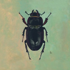 Black scarab