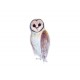 Santamans Owl / Vinyl