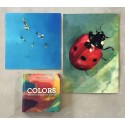 Pack libro 'COLORES'