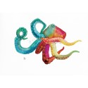 Color octopus