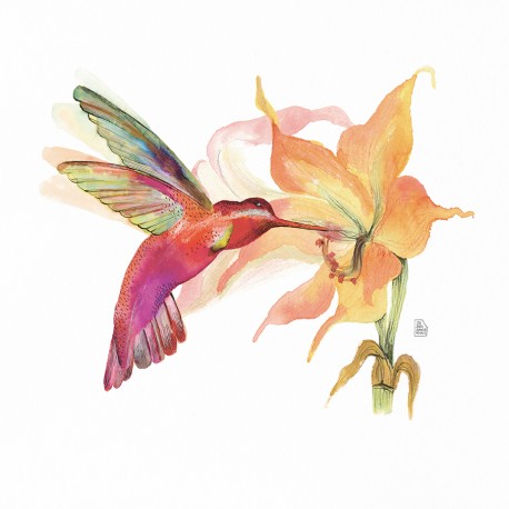 Hummingbird (flor taronja)