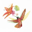 Hummingbird Love (filaments flower)