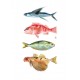 4 fishies