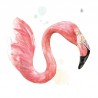 Flamingo head