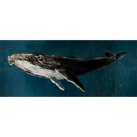 Balena geperuda