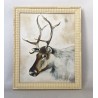Reindeer
