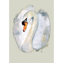  Swan